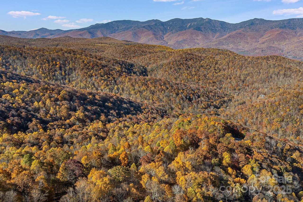 TBD Lot 103 Alderfly Court - Photo 1