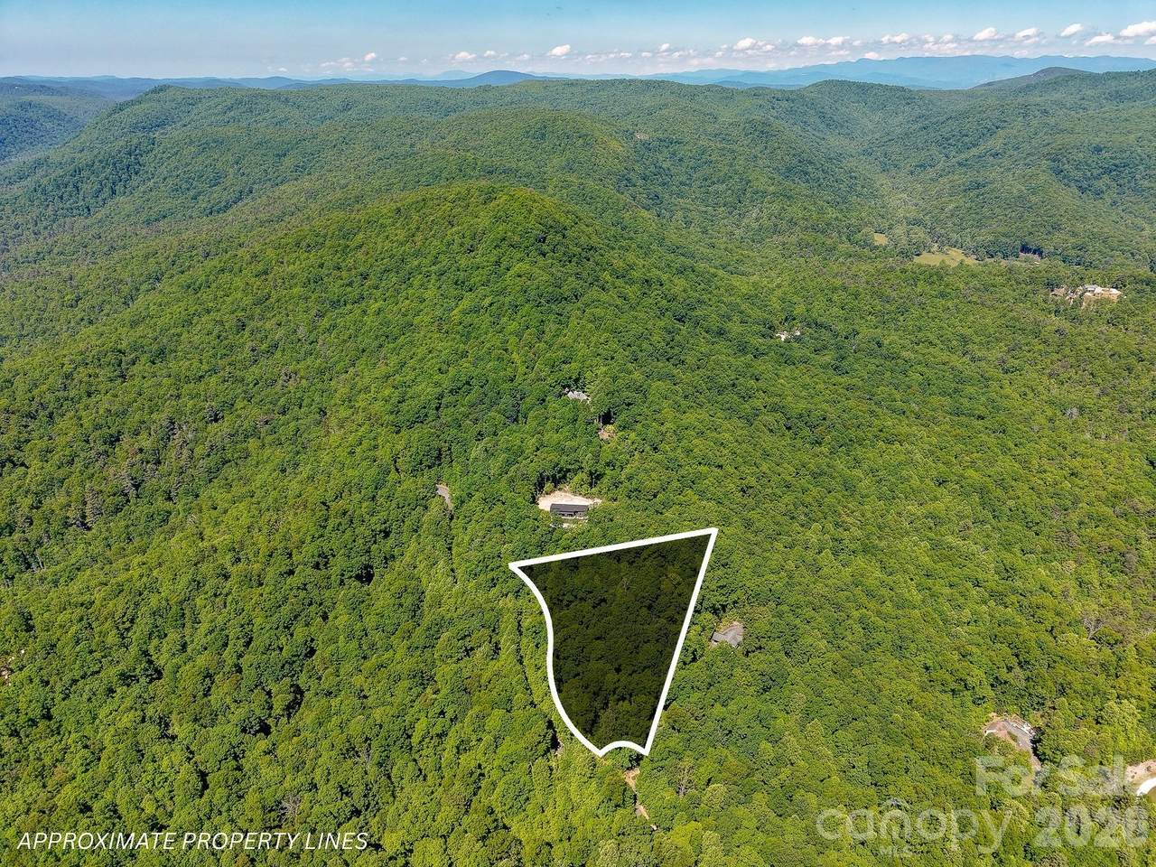 99999 Black Bear Ridge Trail - Photo 1