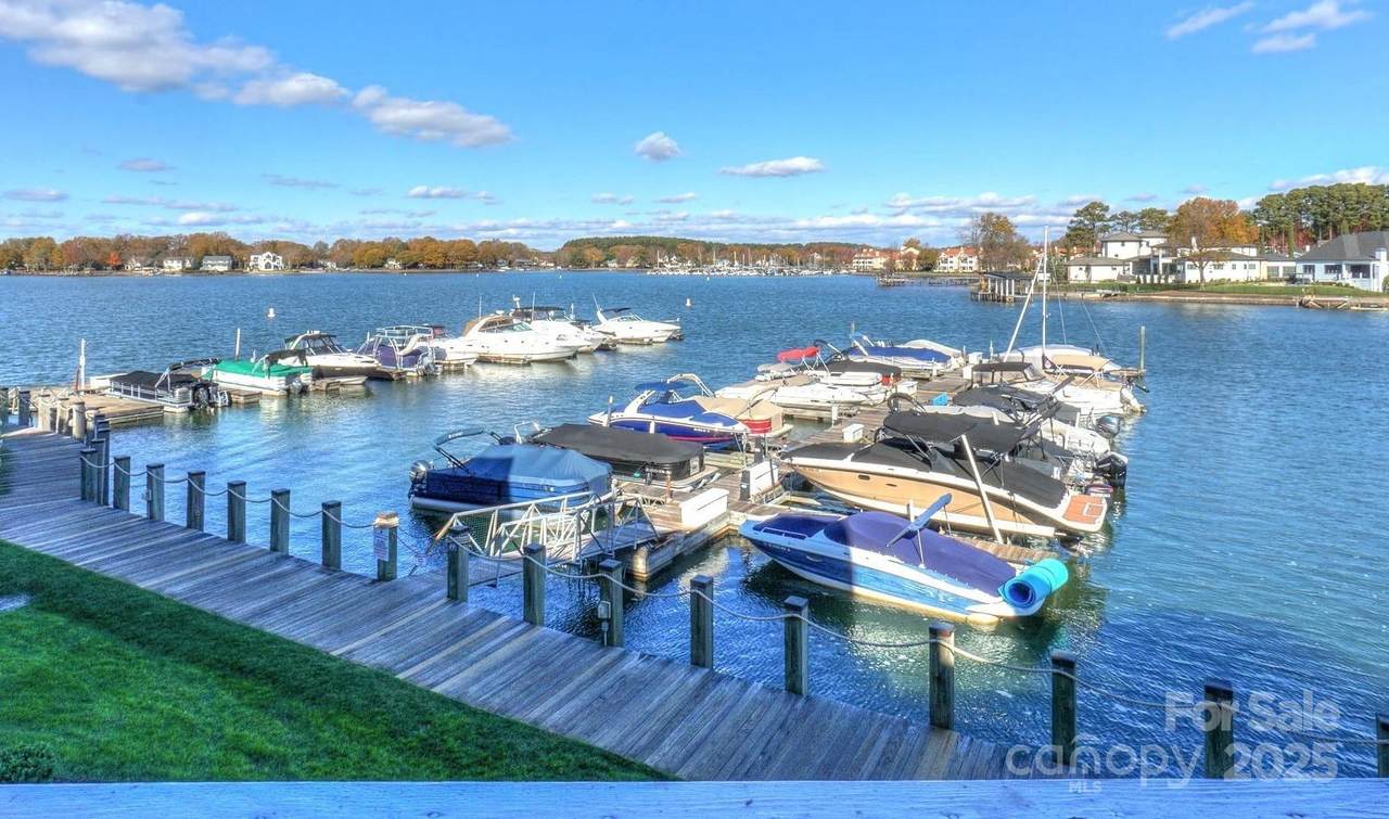 18631 Vineyard Point Lane - Photo 1
