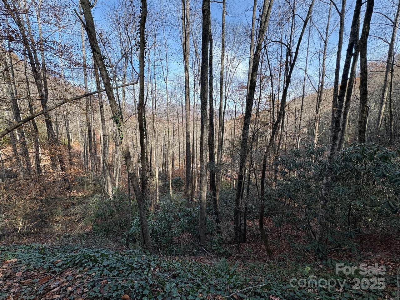 TR 6 Little Bit Trail - Photo 1