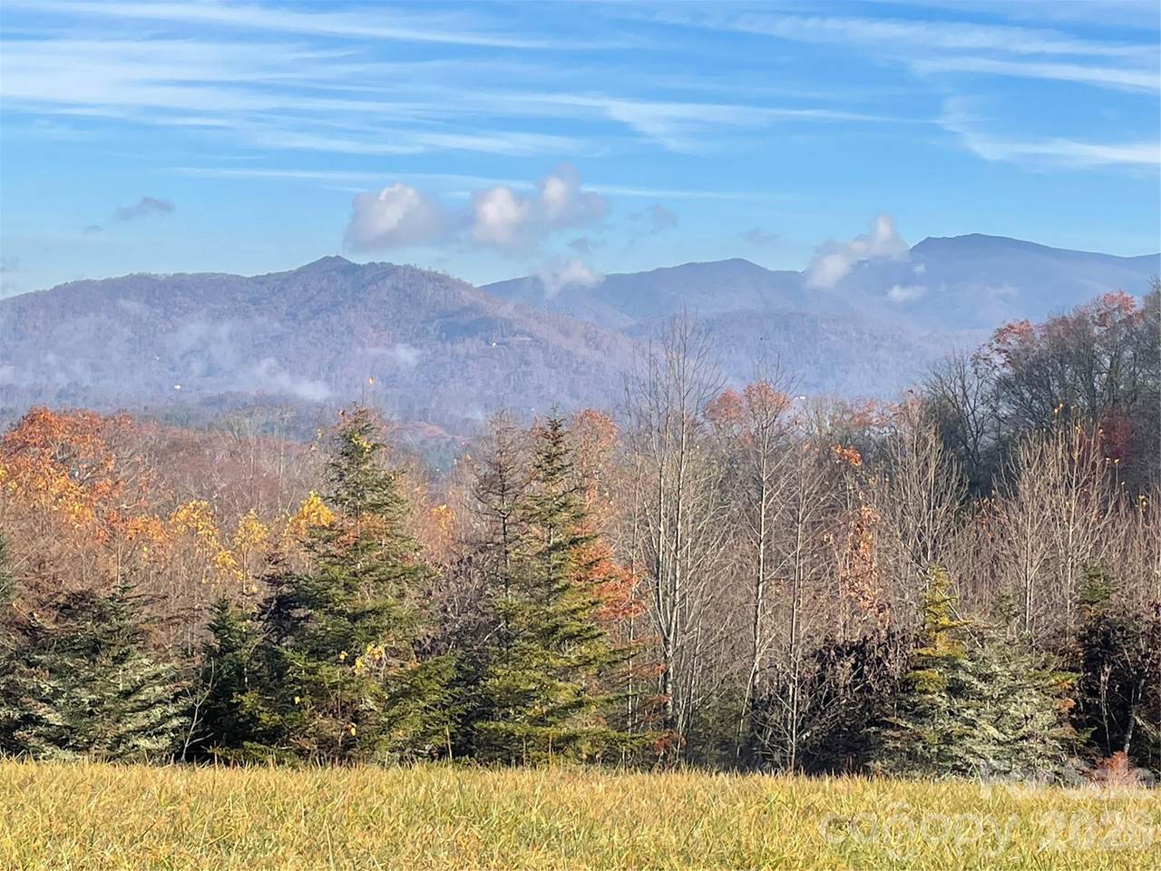 999 Chestnut Mountain Drive - Photo 1