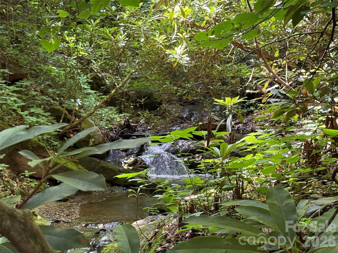 5 Copperhead Cove - Photo 1