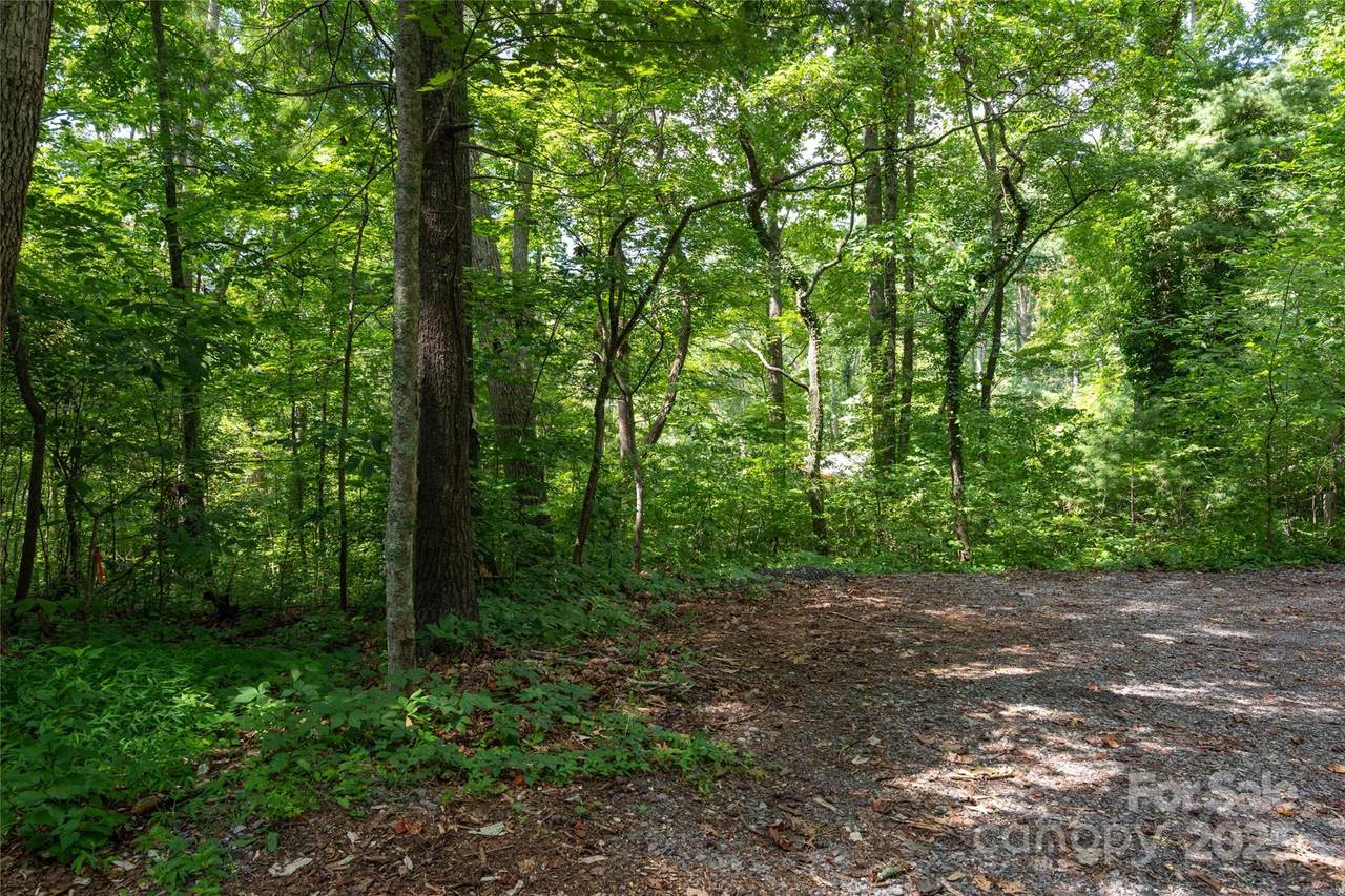 99999 Buffalo Trail - Photo 1