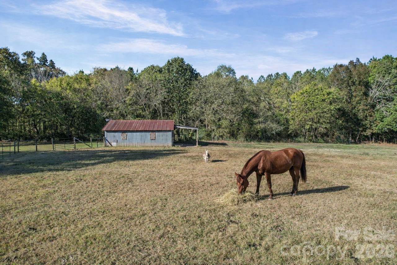 1787 Saint Johns Church Road - Photo 1