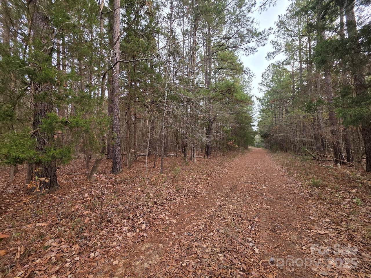 00 Lynn Circle - Photo 1