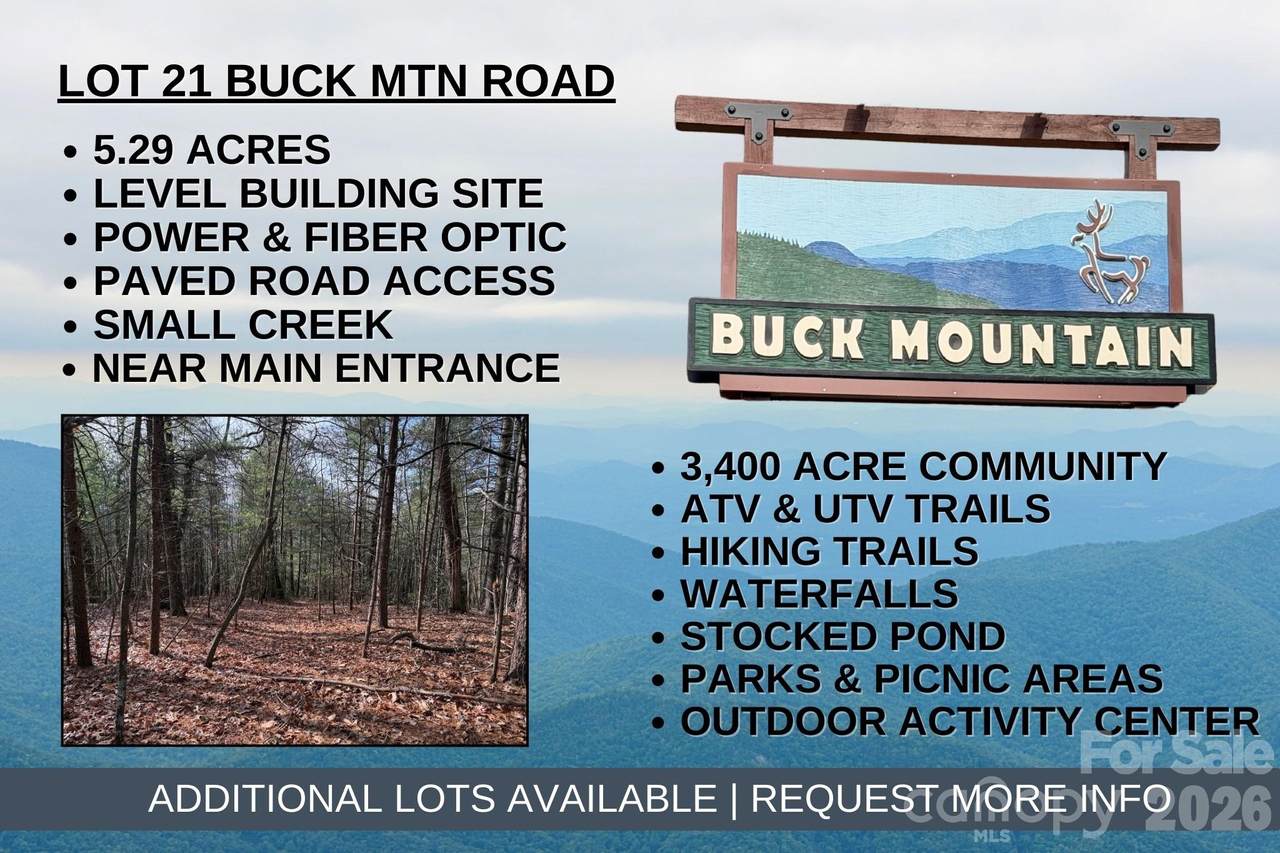 TBD Buck Mountain Road - Photo 1