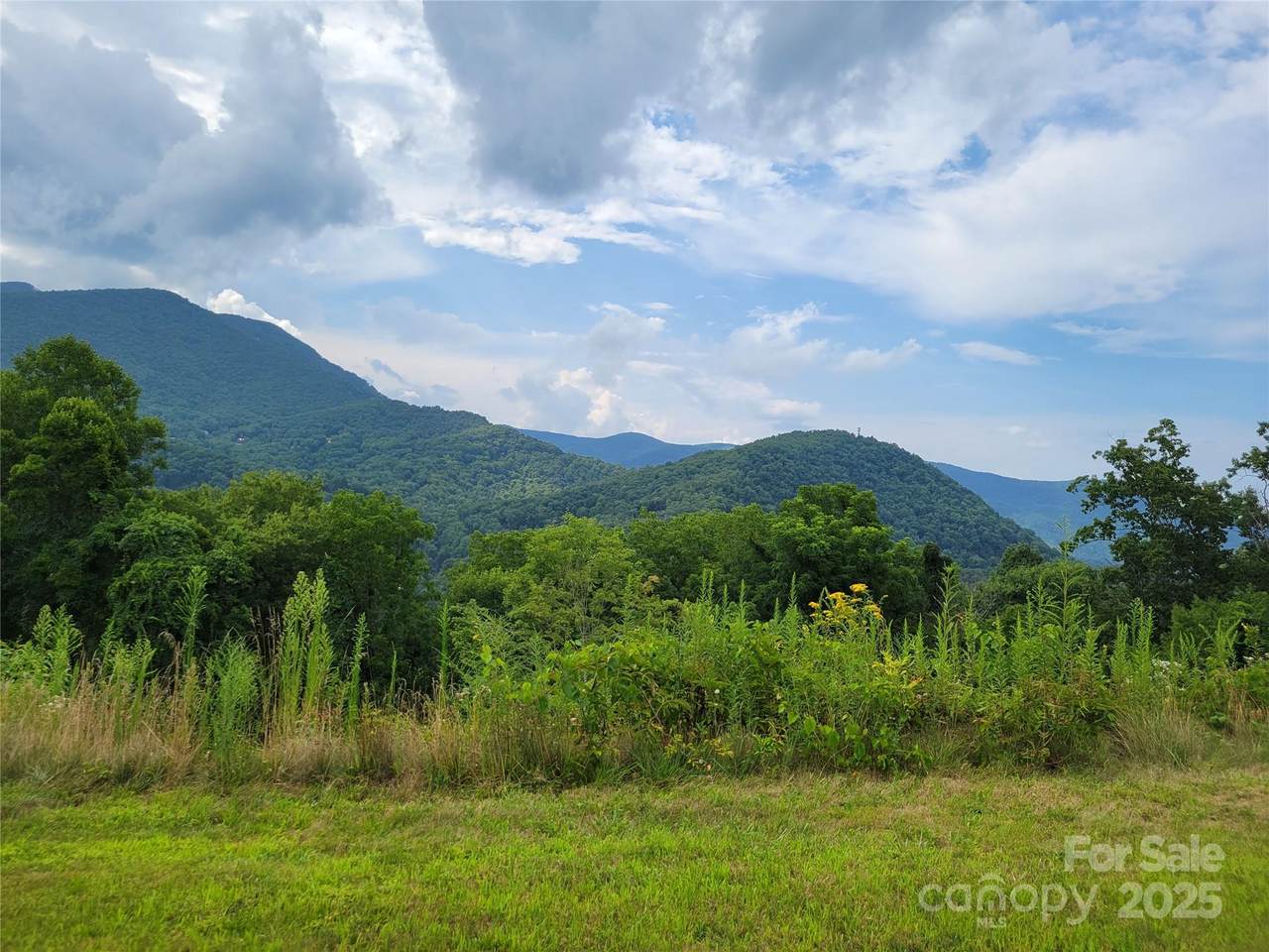 35 Rons Ridge - Photo 1