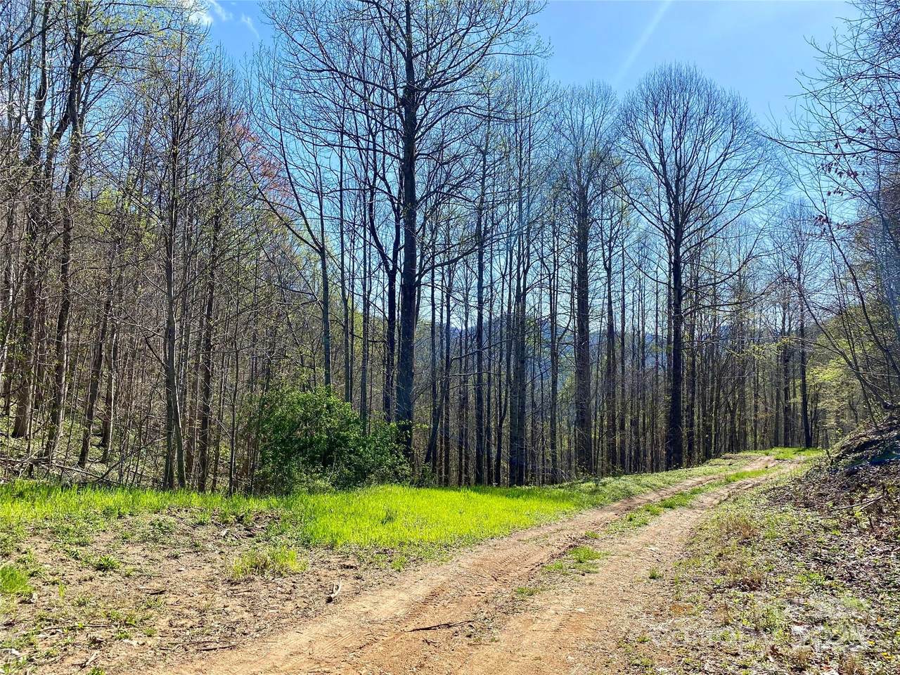 000 Grapevine Road - Photo 1