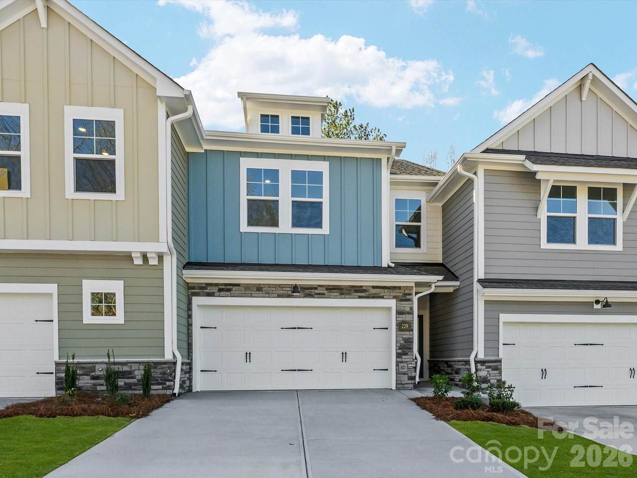 229 Alluvium Lane - Photo 1