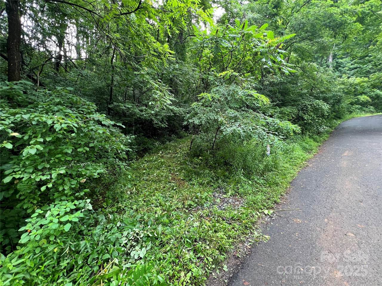 Lot 58 Turn-A-Bout Court - Photo 1