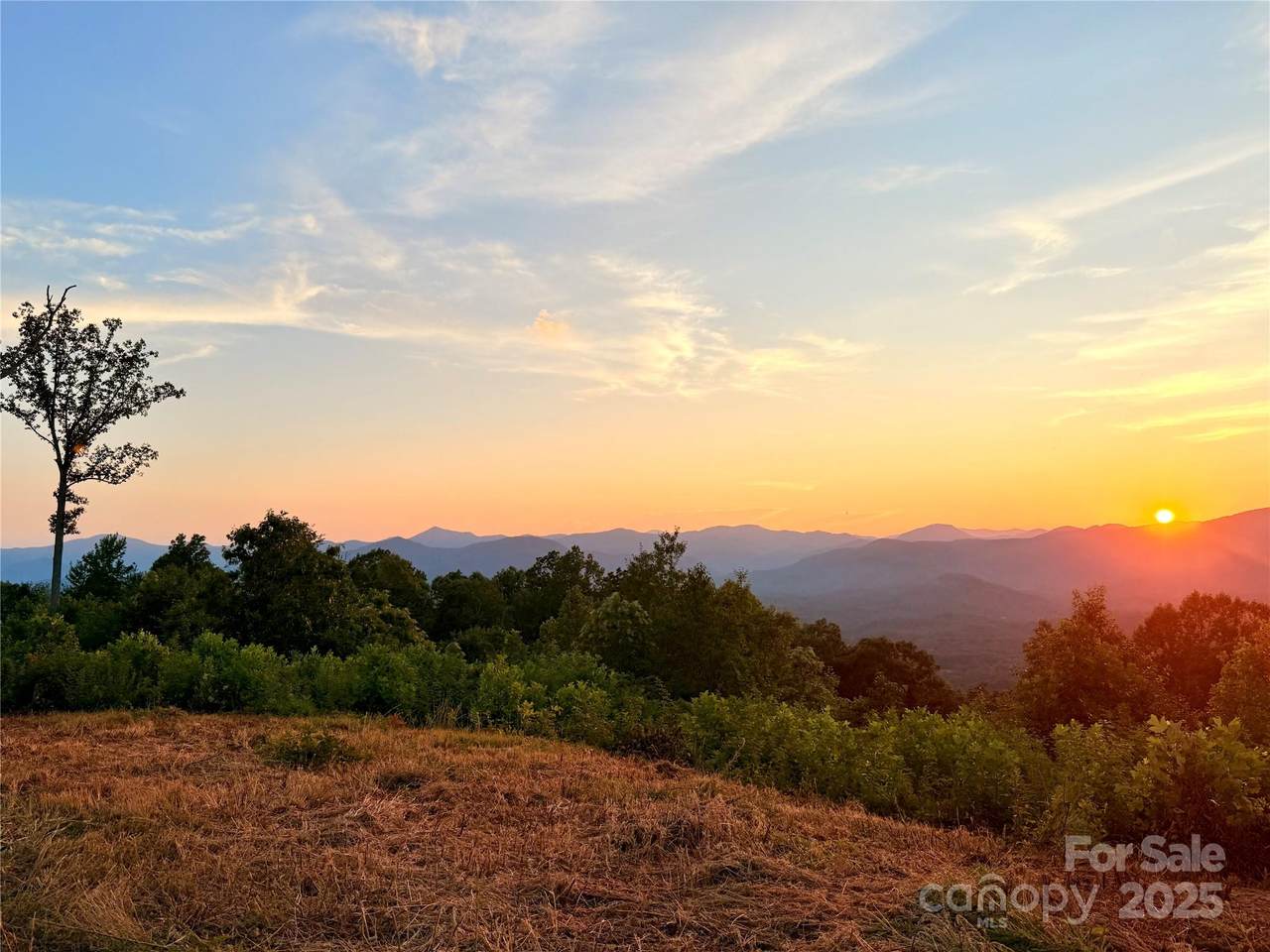 0 Shoal Ridge - Photo 1