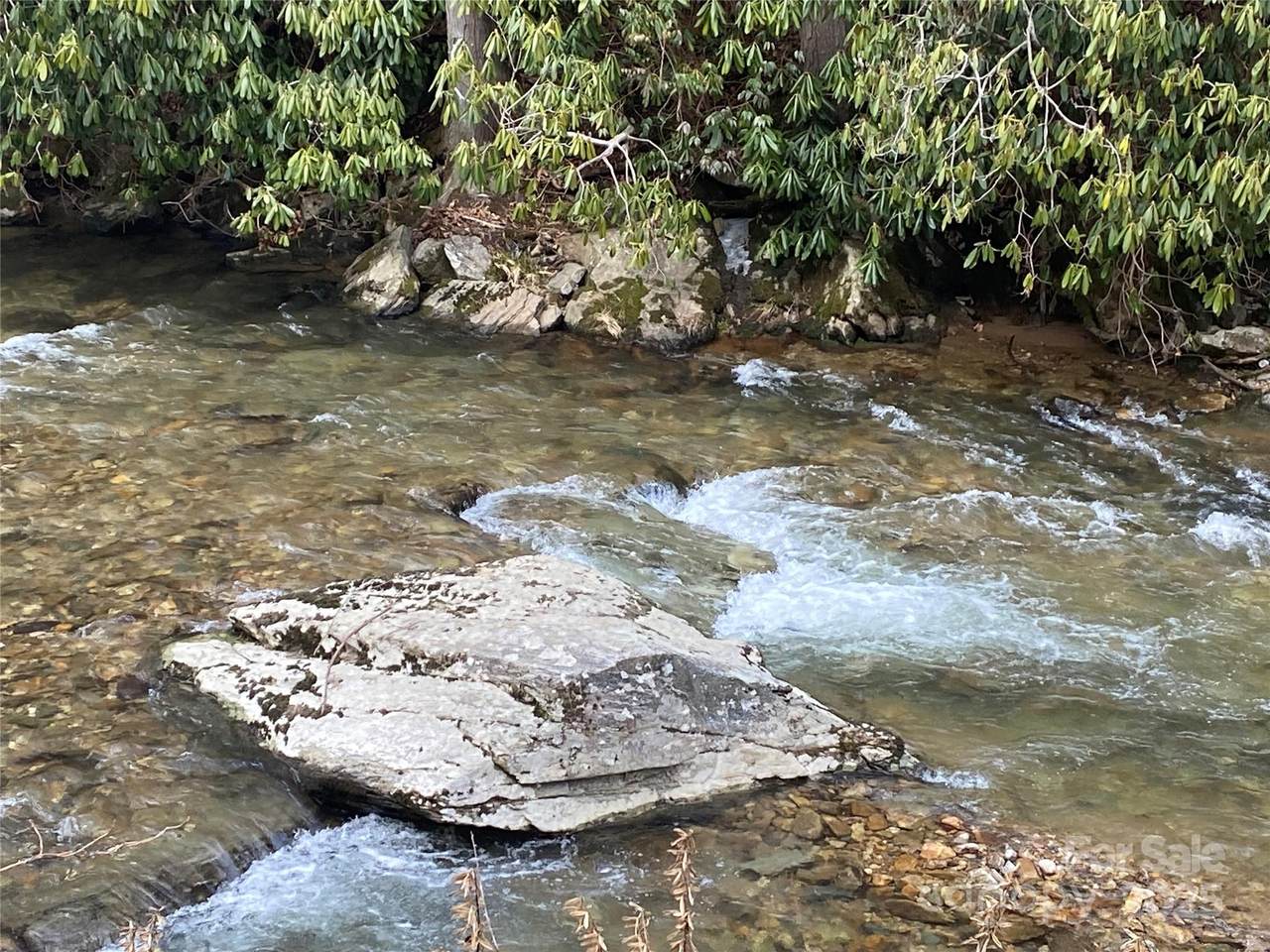 0000 Big Laurel Road - Photo 1