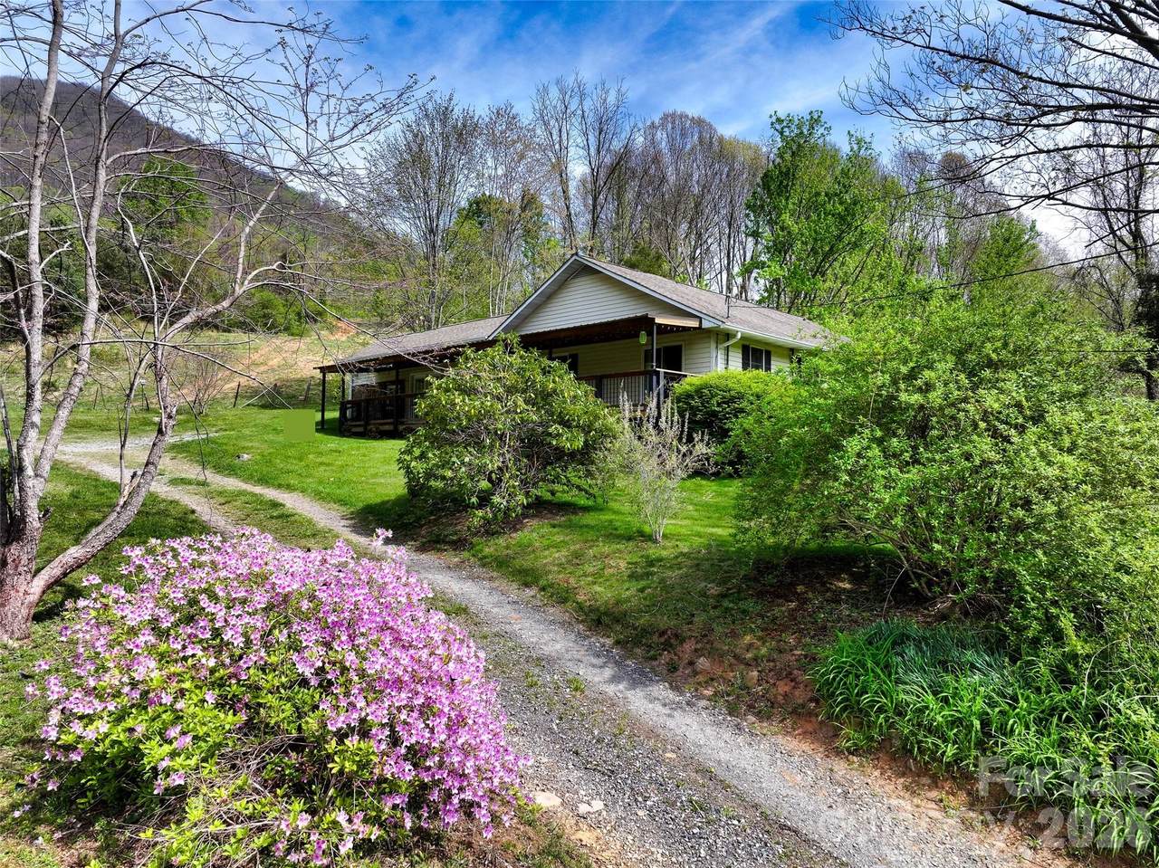 1567 Newfound Road - Photo 1