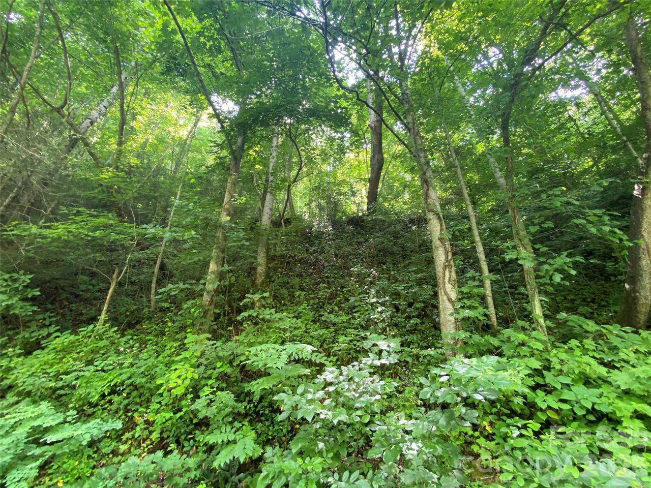 https://bt-photos.global.ssl.fastly.net/cmls/orig_boomver_9_4156319-1.jpg
