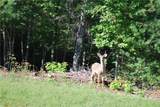 675 Harborside Drive - Photo 16