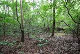 Lot 11 Upper Whitewater Road - Photo 2