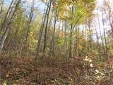 E- 8 Red Wolf Run - Photo 5