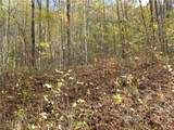 E- 8 Red Wolf Run - Photo 7