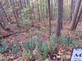 E- 15 Red Wolf Run - Photo 2