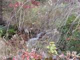 E- 15 Red Wolf Run - Photo 15