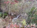 E- 19 Red Wolf Run - Photo 14