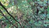 E- 19 Red Wolf Run - Photo 5
