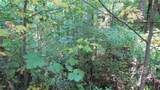 E- 19 Red Wolf Run - Photo 6