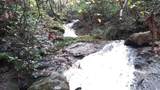 0 Hardin Store Road - Photo 2