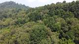 TBD England Road - Photo 5