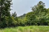441 The Vines Boulevard - Photo 4