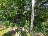 99999 Pine Mountain Trail - Photo 3