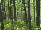 9999 Sassafras Road - Photo 32