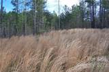 Tract 3 County Line Road - Photo 3