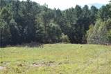 Tract 3 County Line Road - Photo 7