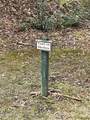 55 Boone Cove Road - Photo 9