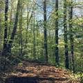 TBD Fern Hill Drive - Photo 8