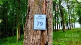 Lot 79 Couch Mountain - Photo 8
