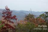Lot 361 Hickory Nut Lane - Photo 5