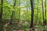 lot 395 Roaring Fork Lane - Photo 10