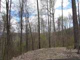 Multiple lots Red Wolf Run - Photo 17