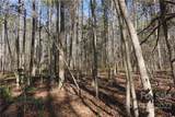 10.64 AC Burree Road - Photo 13