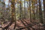 10.64 AC Burree Road - Photo 4