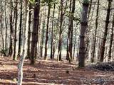 2.29 acres Lot 94 Crescent Ridge Drive - Photo 1