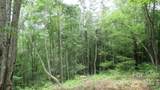 Lot 37 Deeplow Gap - Photo 1