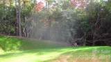 Lot 40 The Knoll - Photo 2