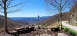 4.17 Acres Spruce Lane - Photo 31