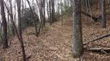 0000 Lookout Terrace Road - Photo 13