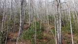 0000 Lookout Terrace Road - Photo 17