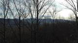 0000 Lookout Terrace Road - Photo 18