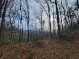0000 Lookout Terrace Road - Photo 29